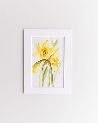 watercolor daffodil flowers Flavia Bennard