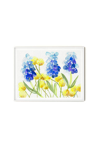 Muscari Craspedia Play - Original Watercolor Floral Painting