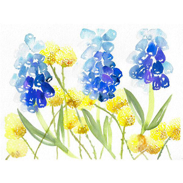 Muscari Craspedia Play - Original Watercolor Floral Painting